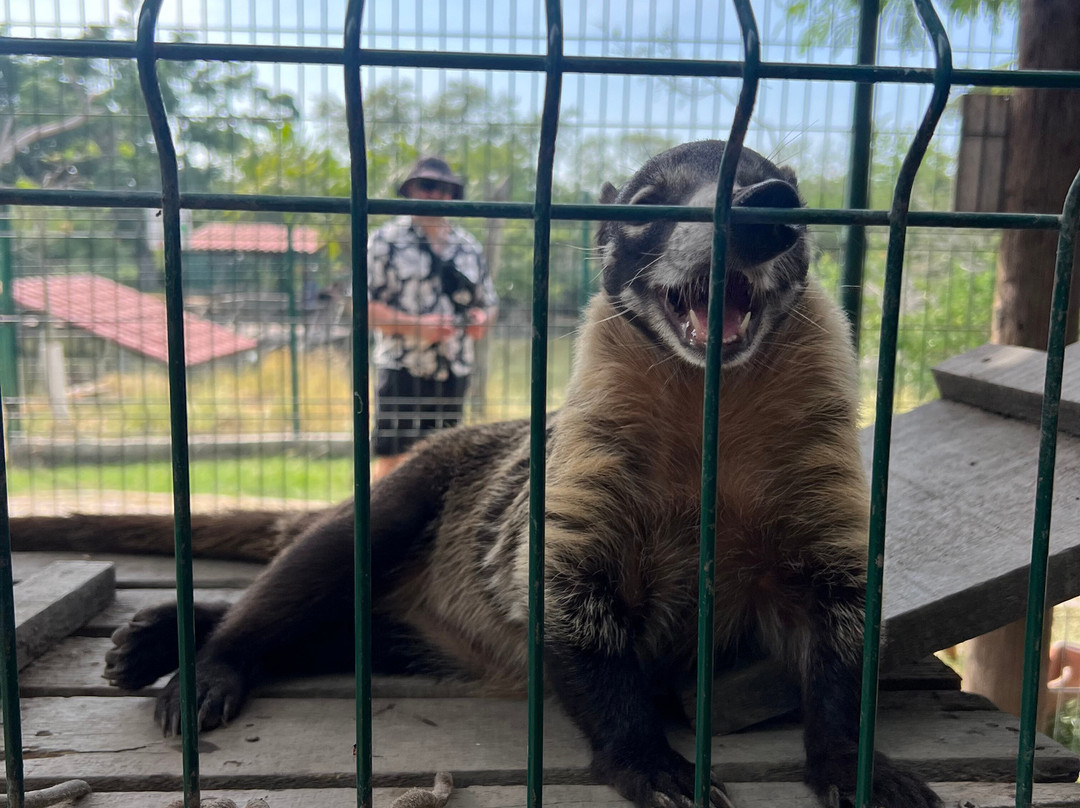 Santuario de Cocodrilos El Cora-Bucerias必去景点