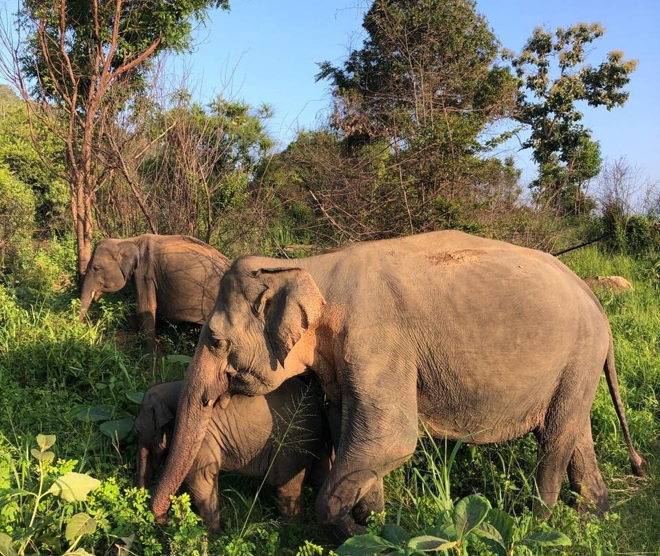 BH Lanka Tours-Kurunegala必去景点