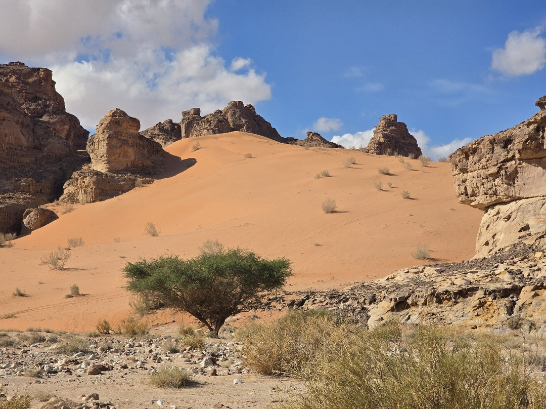Jordan Trail Guide-佩特拉必去景点