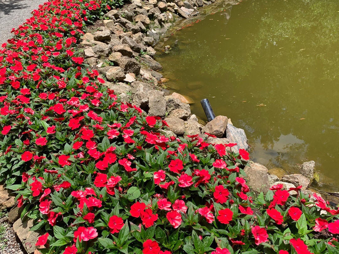 Bosque do Silêncio-坎普斯－杜若尔当必去景点