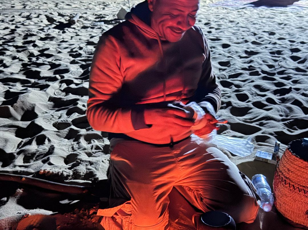 white desert travel-Bahariya Oasis必去景点