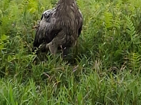 Speke Holidays-坎帕拉必去景点