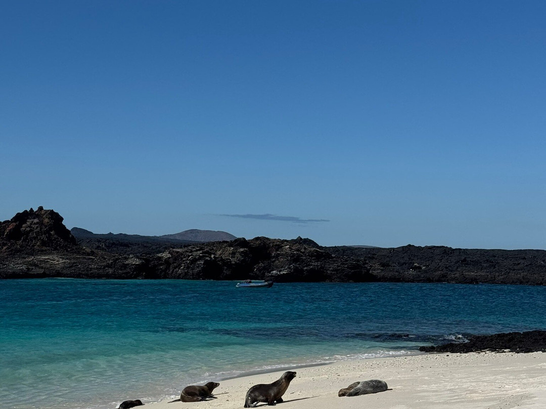 Fragata Yacht-Baltra必去景点