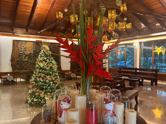 Zone Niathu Dimapur By The Park主图