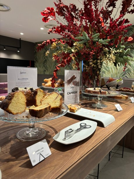 那不勒斯诺拉丽笙酒店-官方