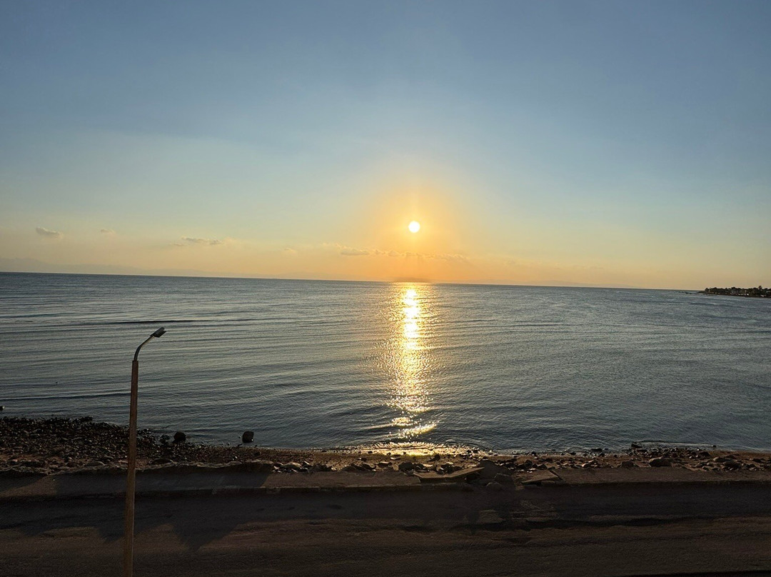 Desert Divers Dahab-达哈卜必去景点