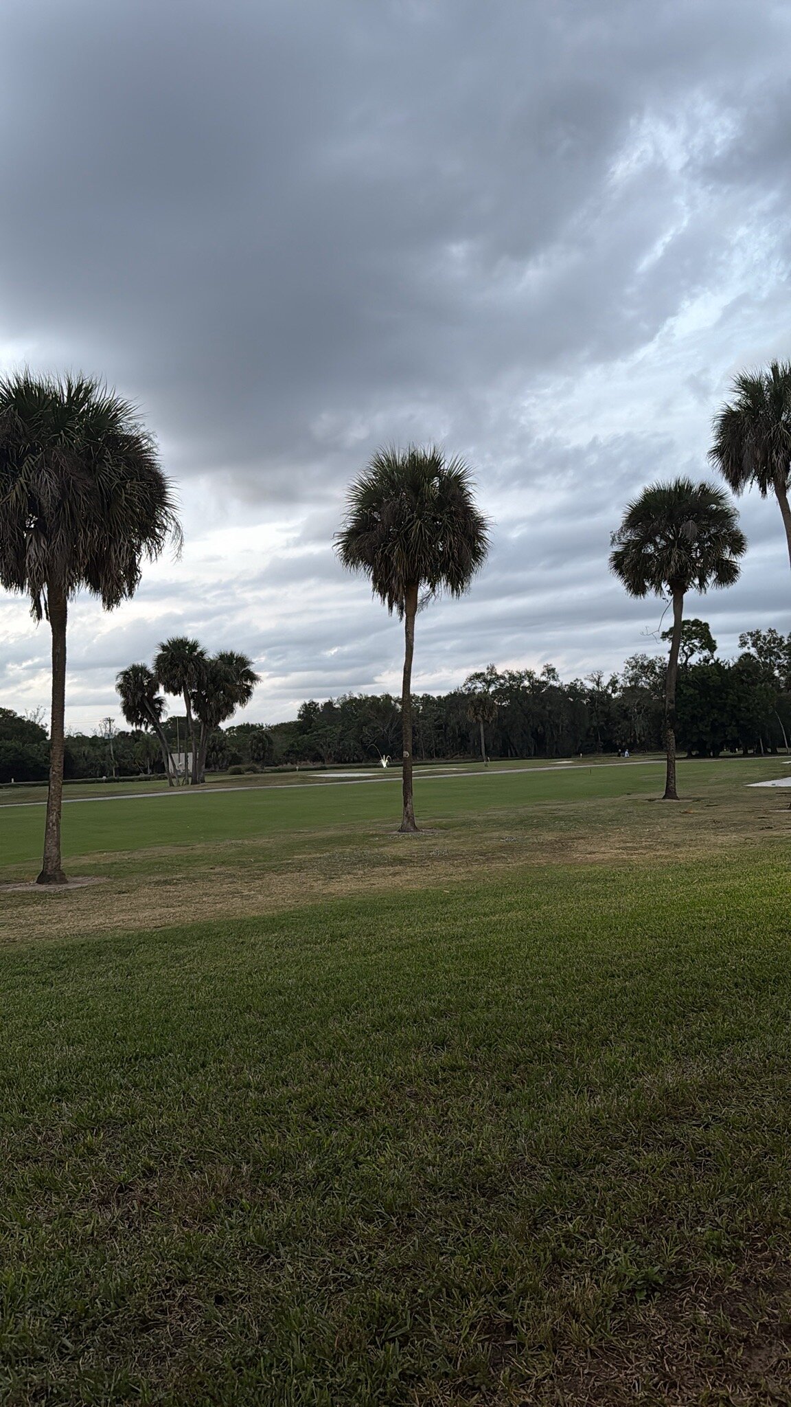 Lehigh Resort Club-官方