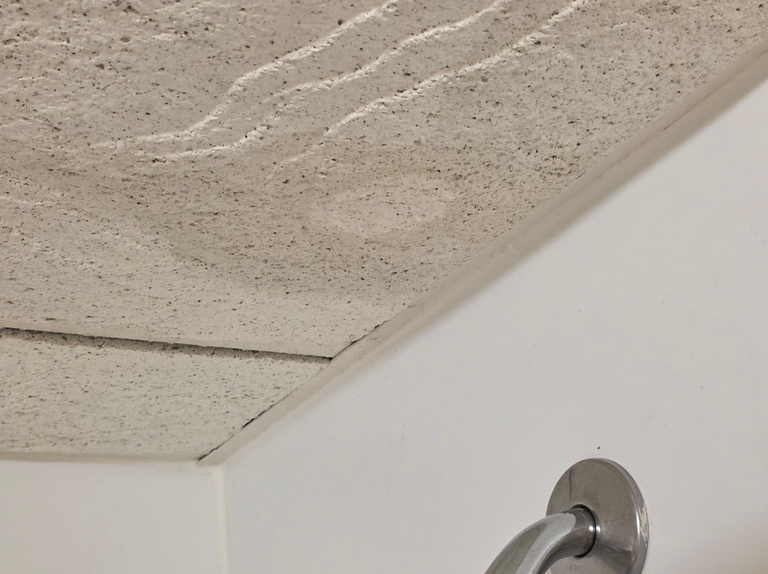 Everspring Inn主图