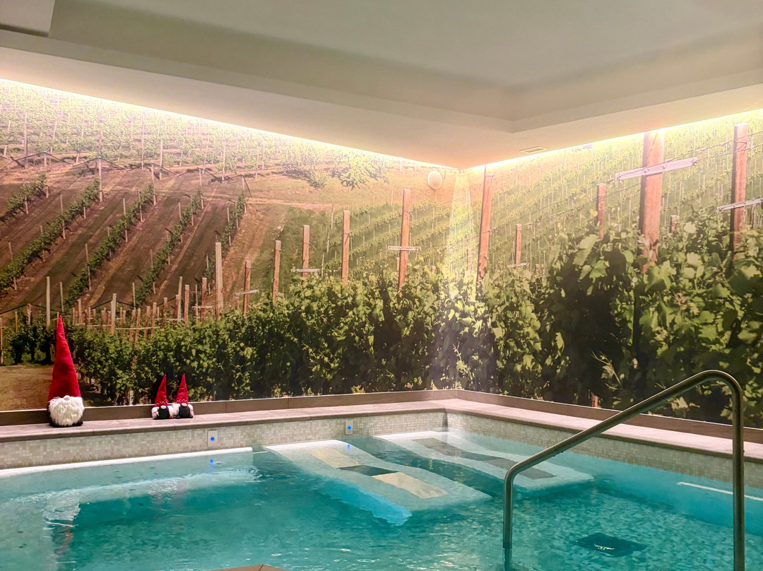 La Vigna SPA-Paderno del Grappa必去景点