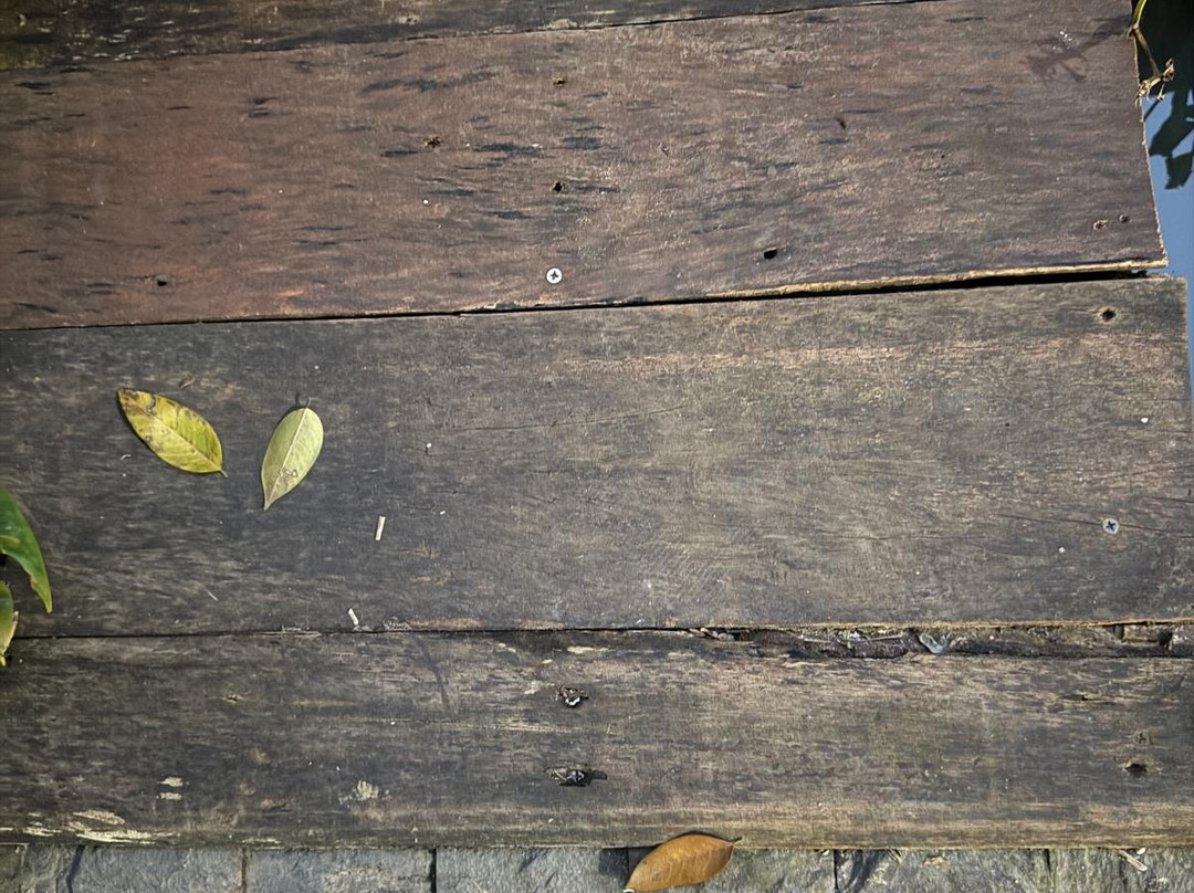 Dontrei Villa Angkor主图