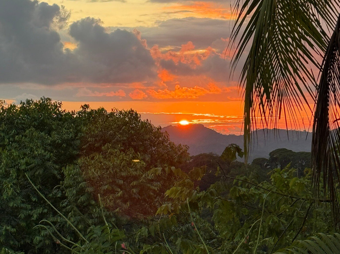 Goolonukos-塔马林多必去景点