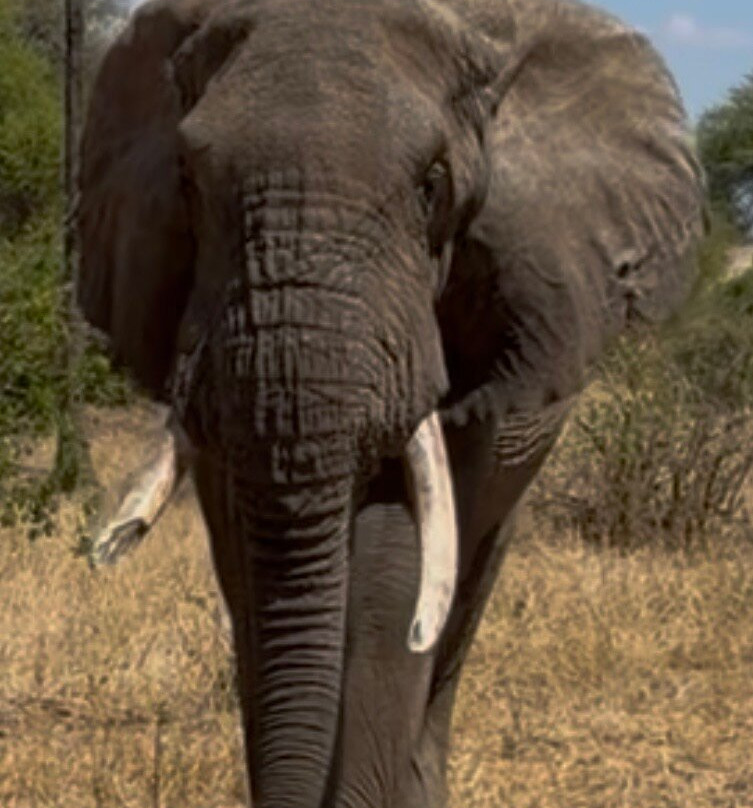 Blessing Safaris-阿鲁沙必去景点
