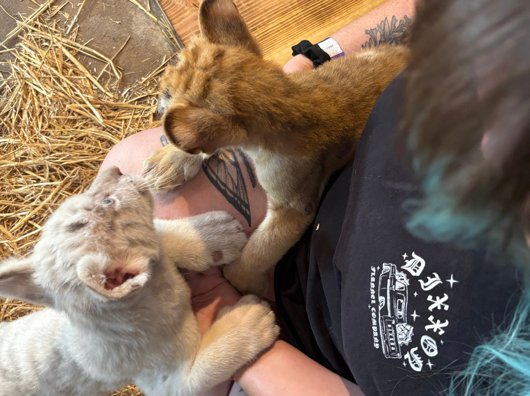 Pai Pai Ecotourism Park-恩塞纳达必去景点