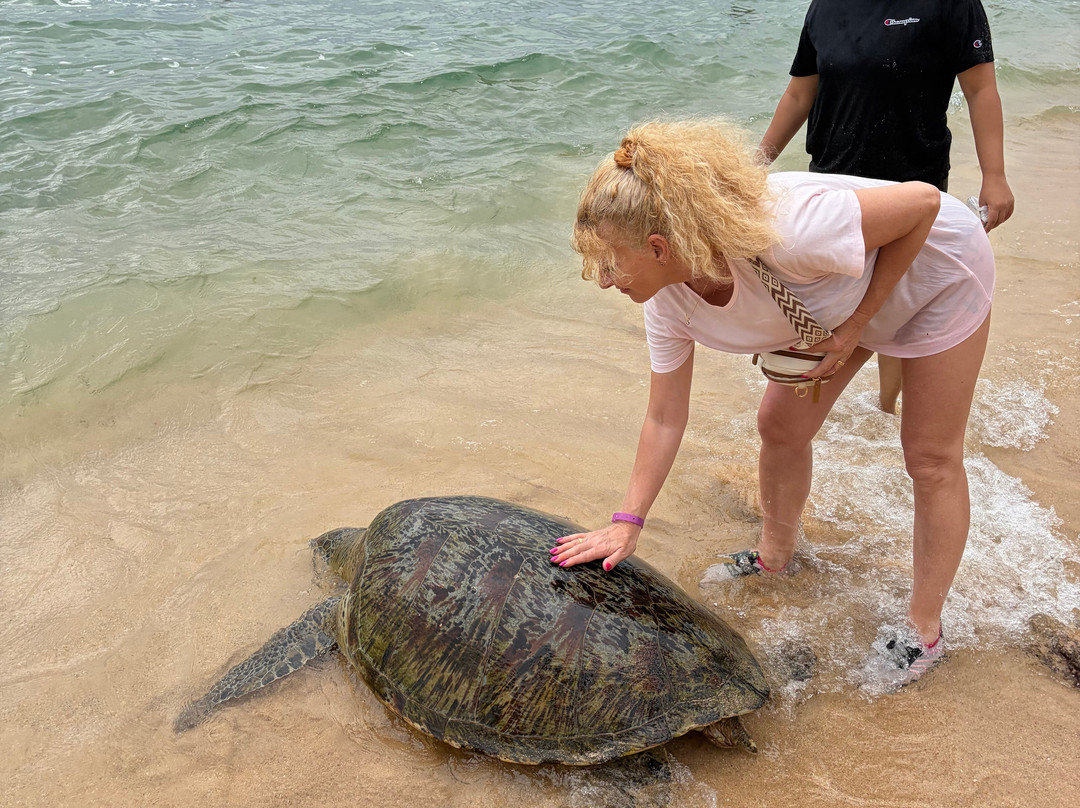 NF Travels and Tours-Ja Ela必去景点