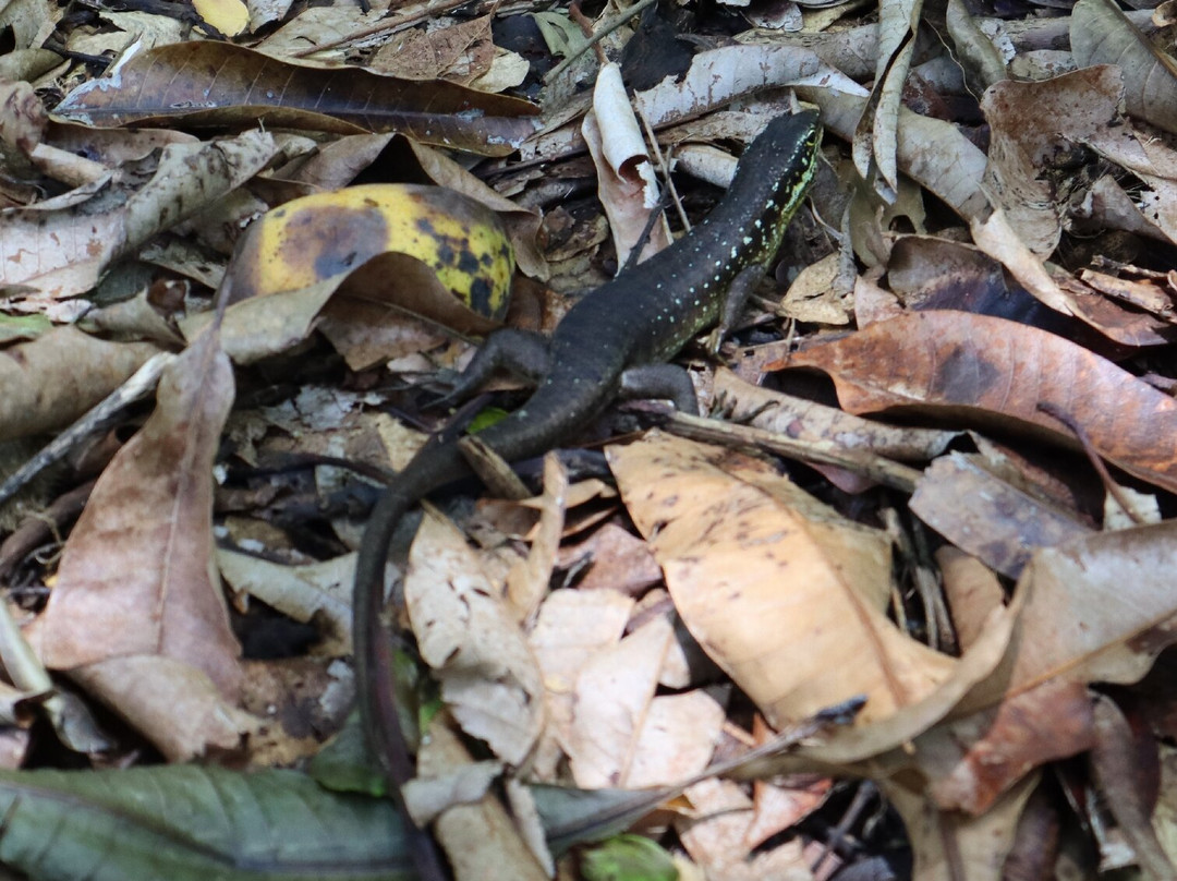 Nosy Tanikely-Nosy Tanihely必去景点