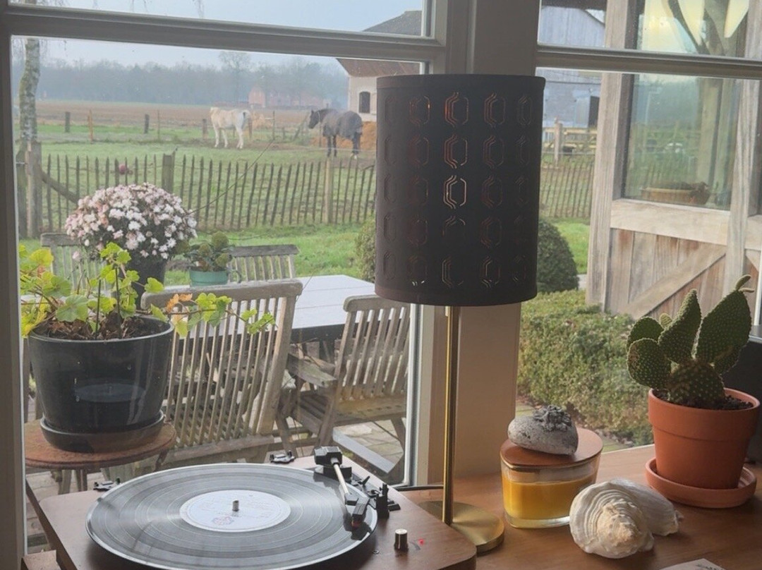 B&B De Vossenbarm主图