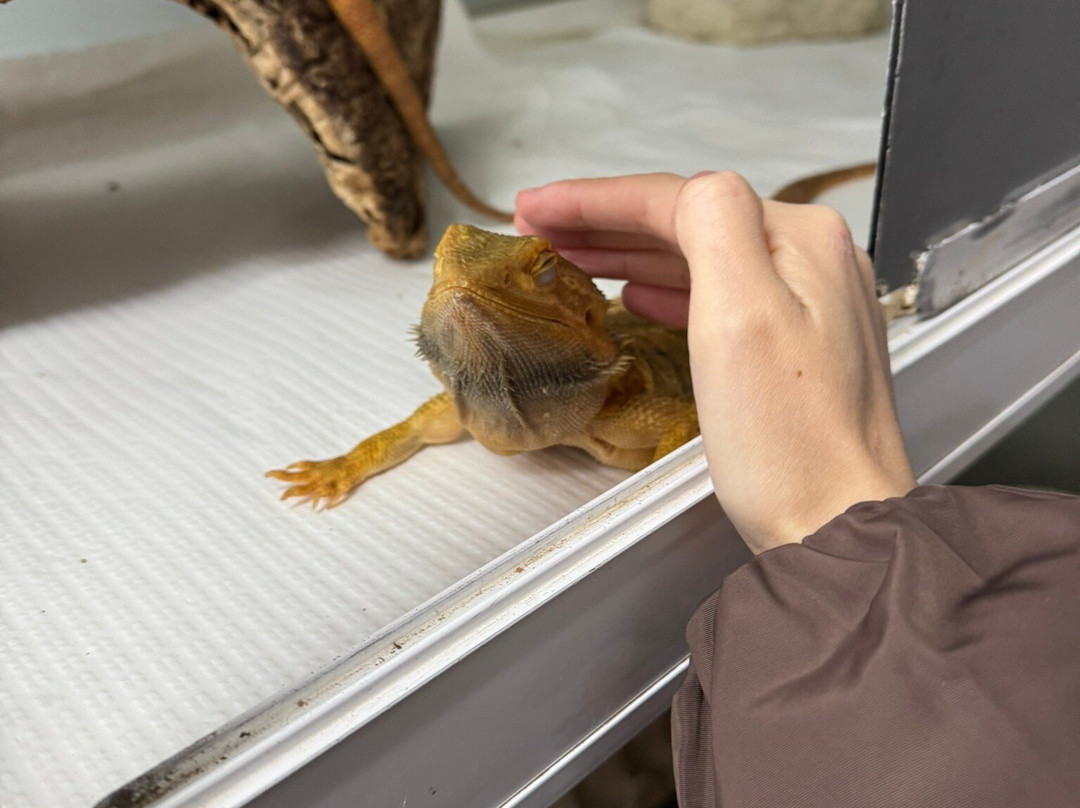 Quinta Fotoplanet Farm-阿尔布赞拉必去景点