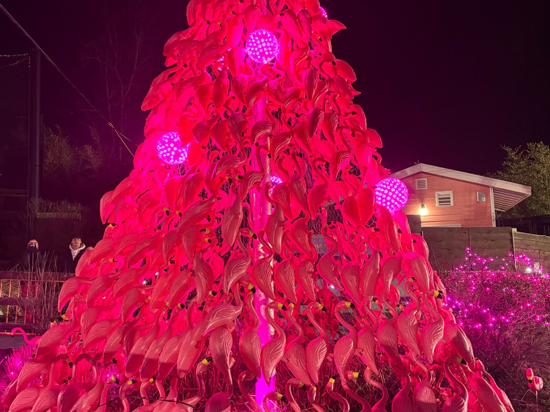 Turtle Back Zoo-西奥兰治必去景点