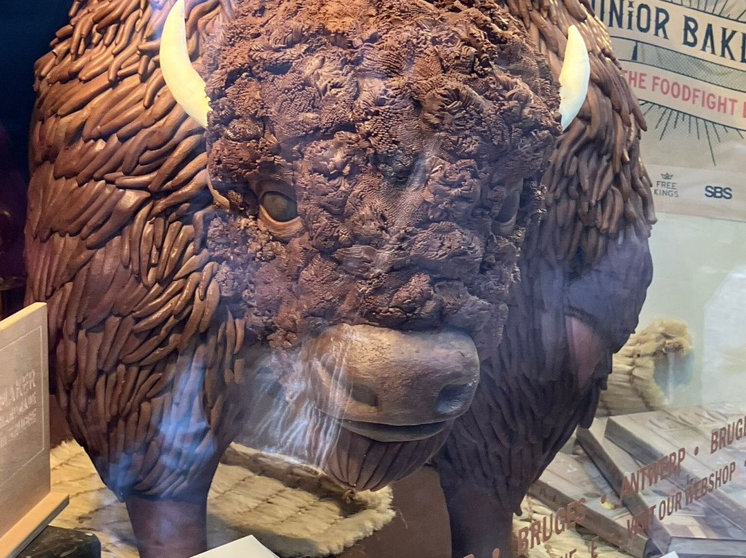 The Chocolate Line - Dominique Persoone-安特卫普必去景点