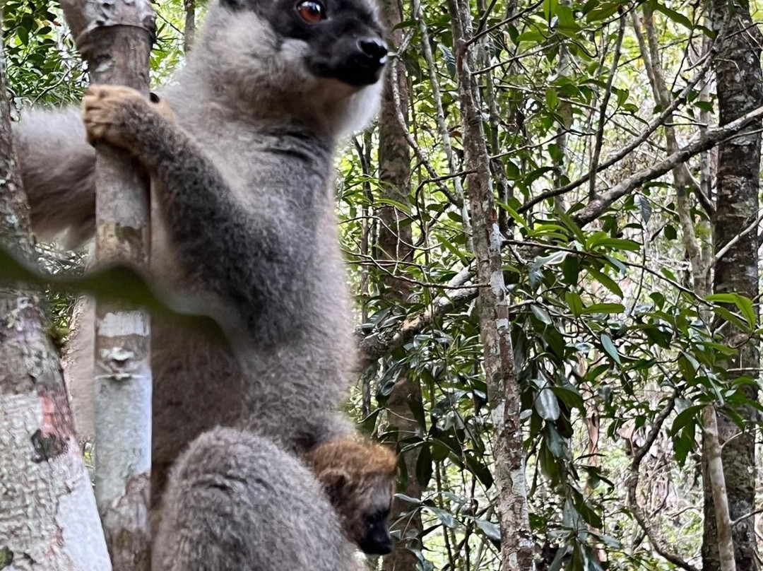 Viro Nomads Travel Co.-Ranomafana必去景点