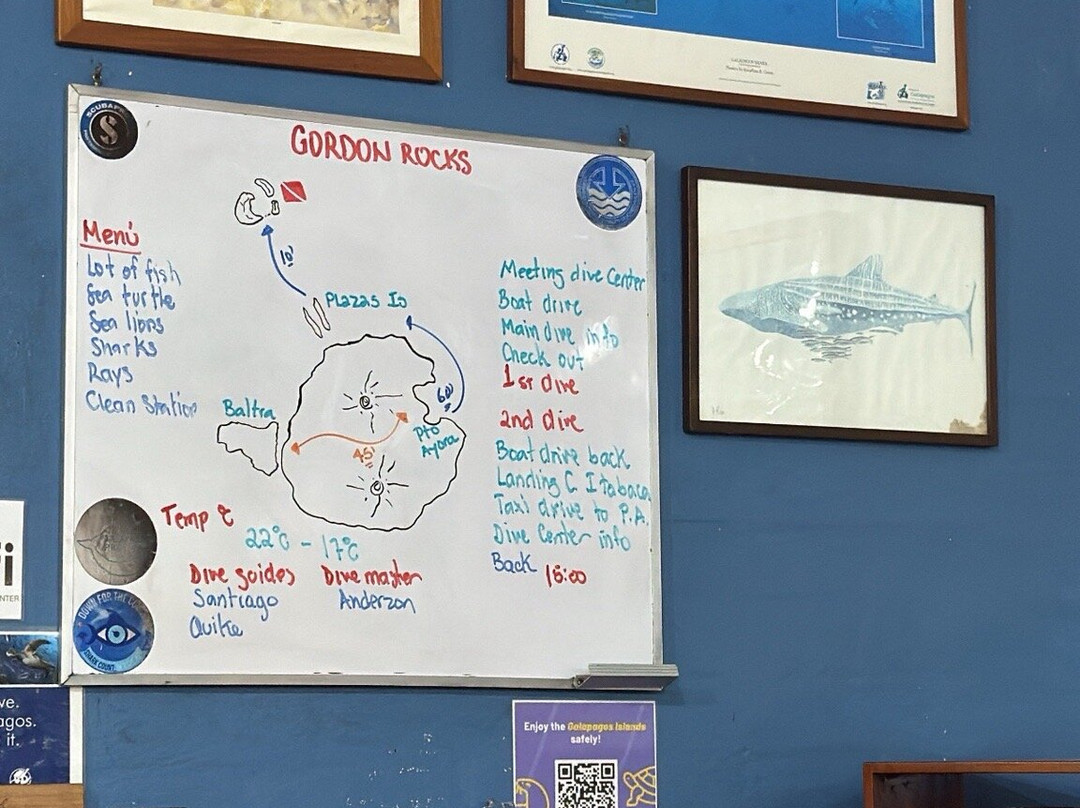 Scuba Iguana-阿约拉港必去景点