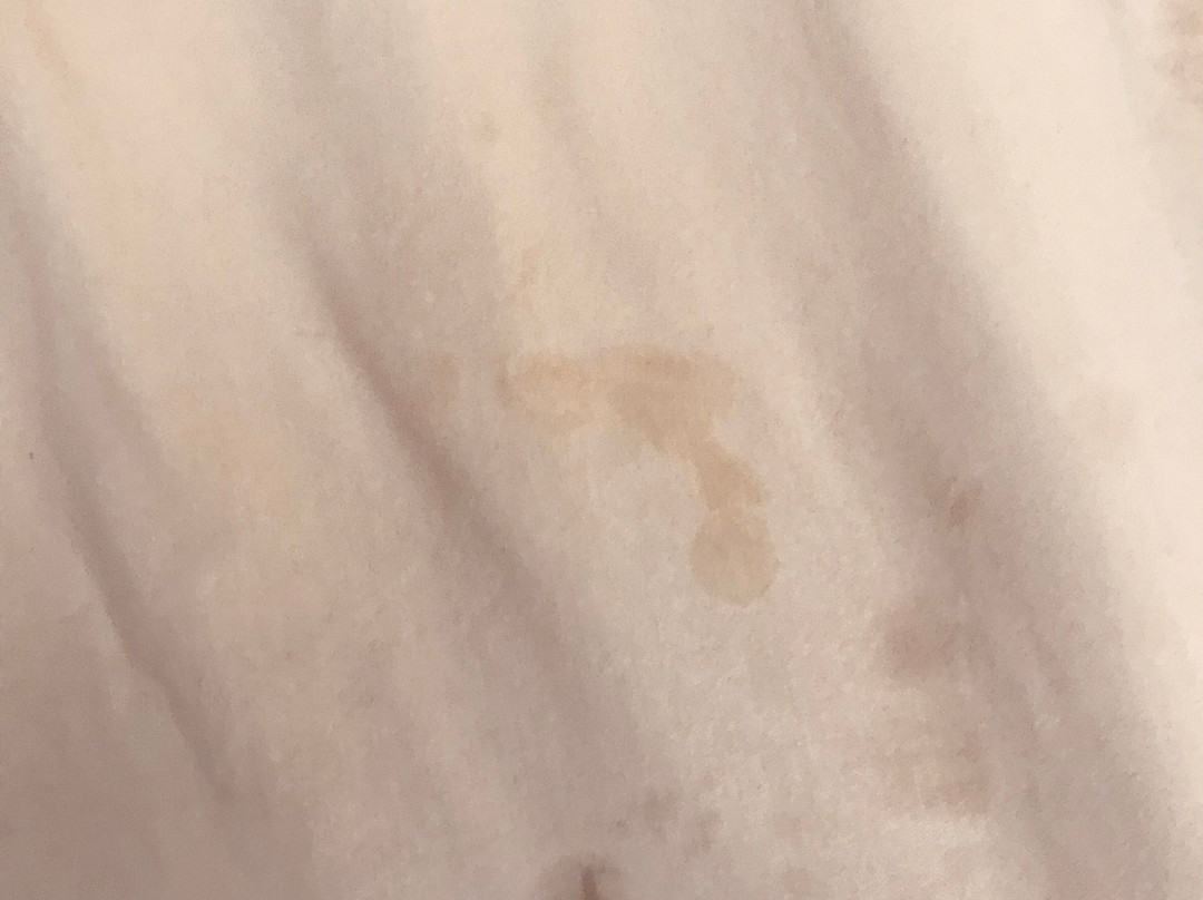 Baymont by Wyndham Lake Park Valdosta I75主图