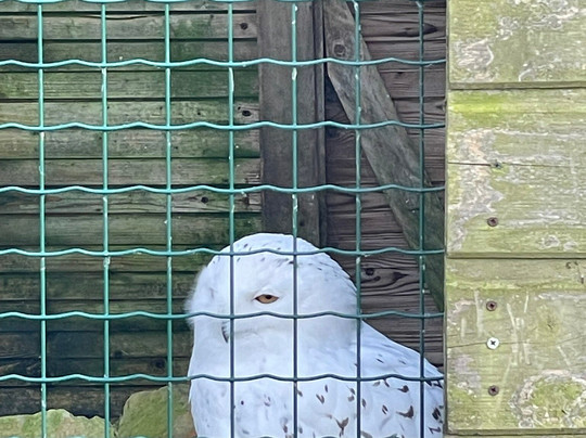 Château De Milandes-Castelnaud-la-Chapelle必去景点