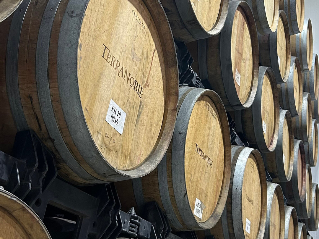 Viña Terranoble-San Clemente必去景点