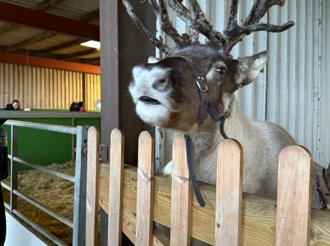 The Reindeer Centre-Bethersden必去景点