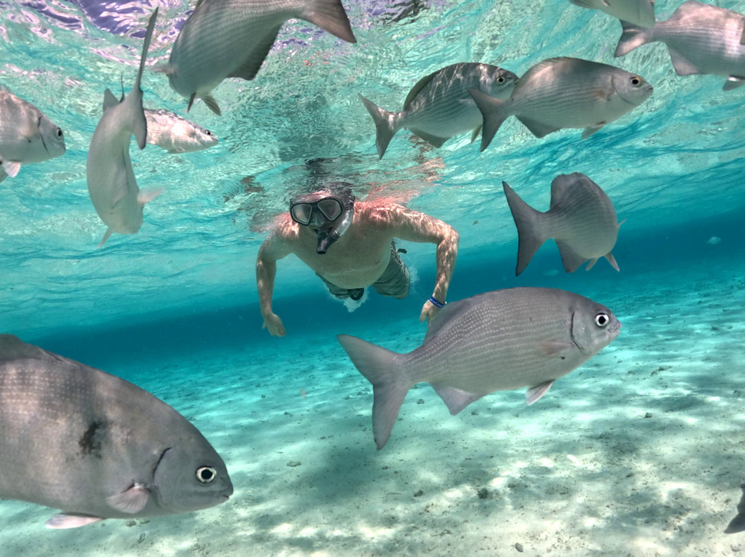 Al Mundo Tours-Tulua必去景点