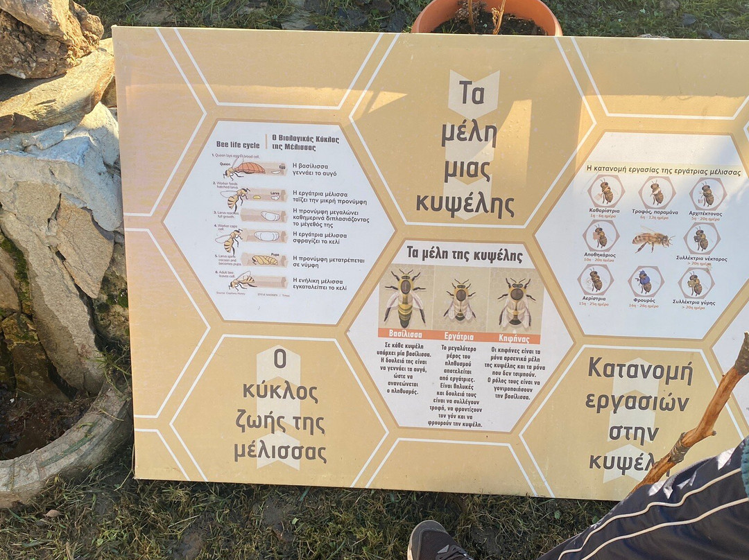 Meligeysis-Komnina必去景点