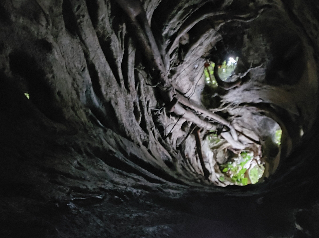 Batwa Experience-布恩迪难以穿越的国家公园必去景点