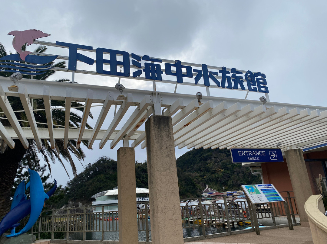 Shimoda Aquarium-下田市必去景点