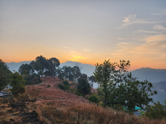 The Woods Retreat主图