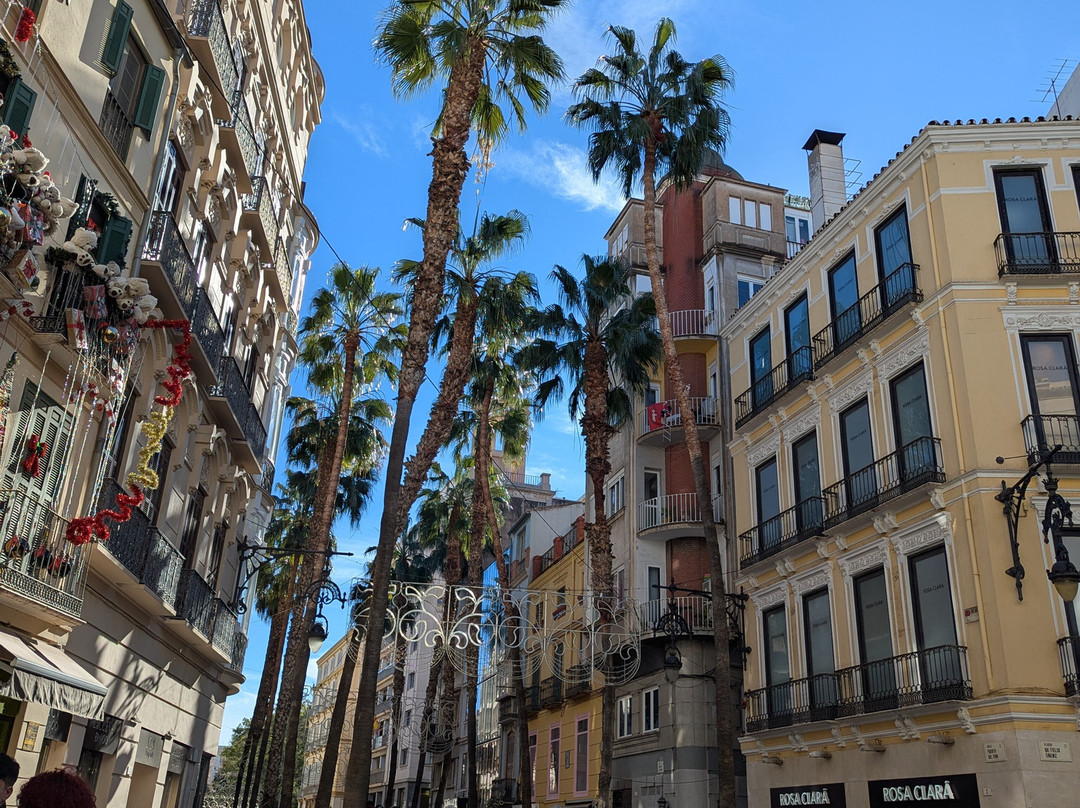 Vamos Academy Malaga-马拉加必去景点