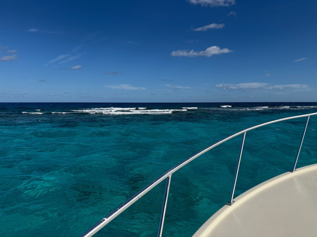 Captain Marvin's Watersports Ltd.-普罗维登西亚莱斯必去景点