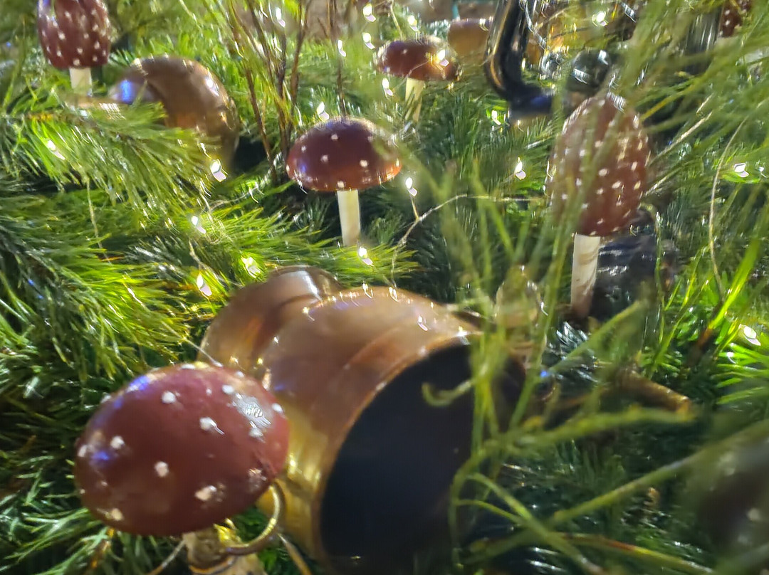 Kolmården Zoo-Kolmarden必去景点