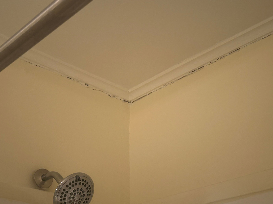 Apple Tree Inn, SureStay Collection by Best Western主图