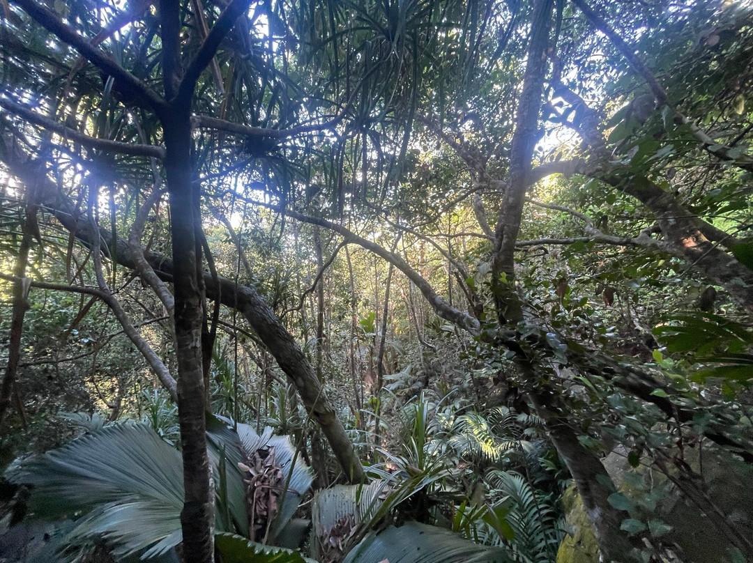 Morne Seychellos National Park-维多利亚必去景点