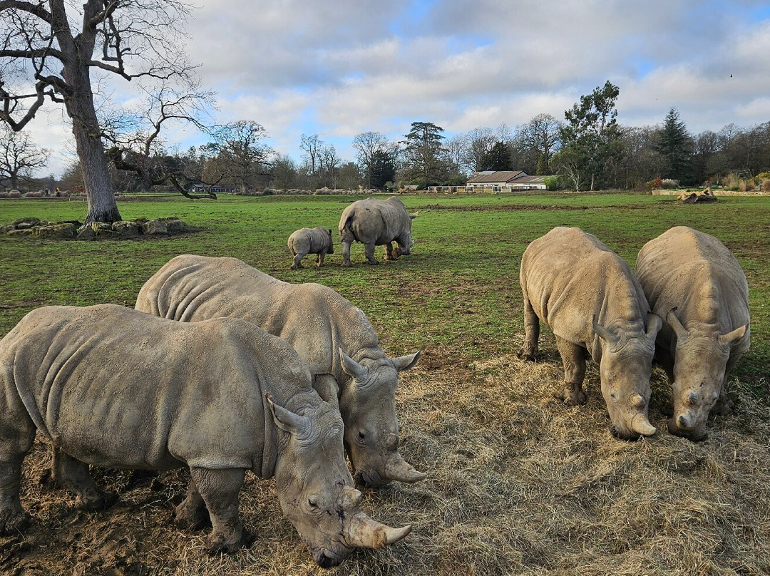 科茨沃尔德野生动物公园和花园-伯福德必去景点