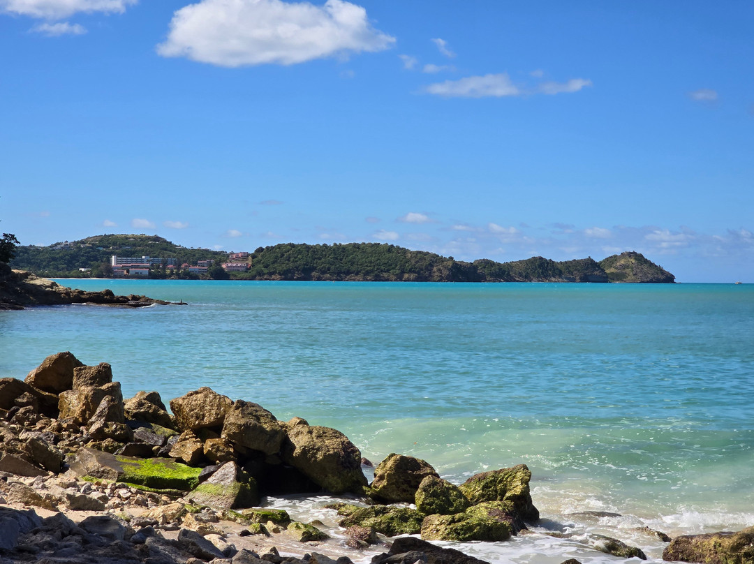 Treehouse Beach Club
