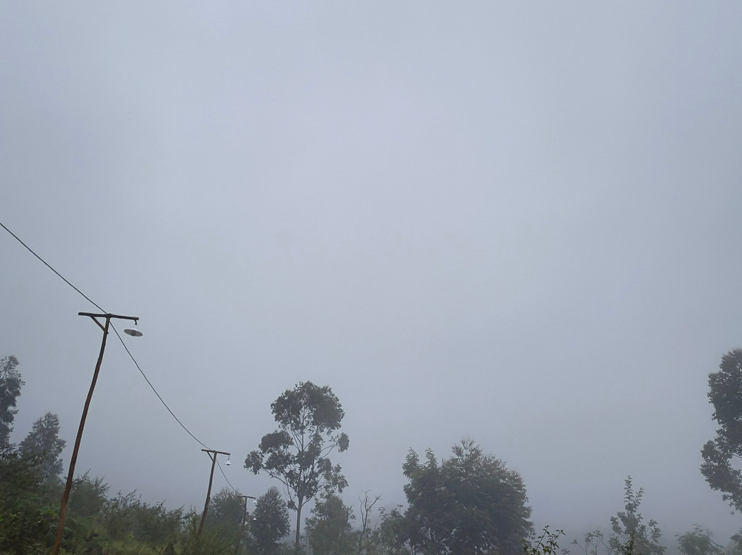 Wild Mist Camp Kanthalloor