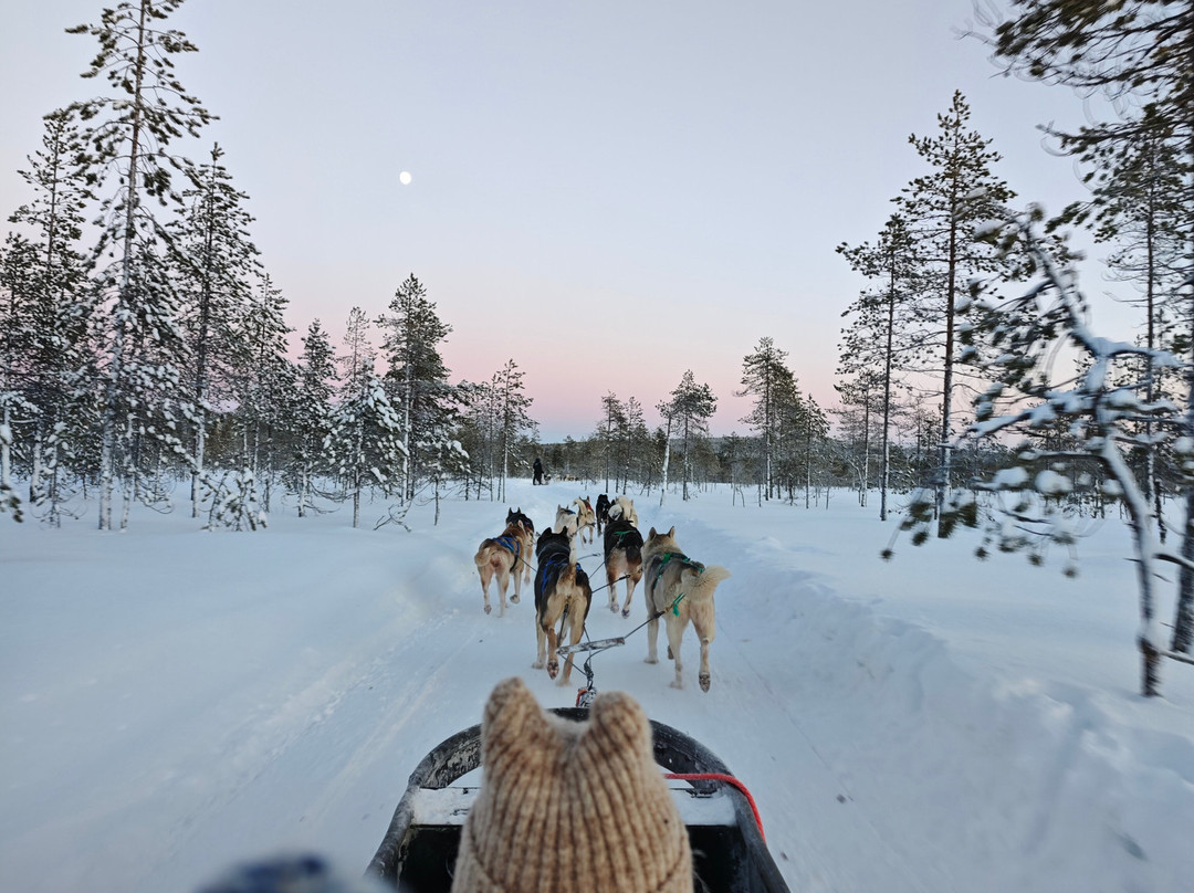 Arctic Circle Husky Park-罗瓦涅米必去景点