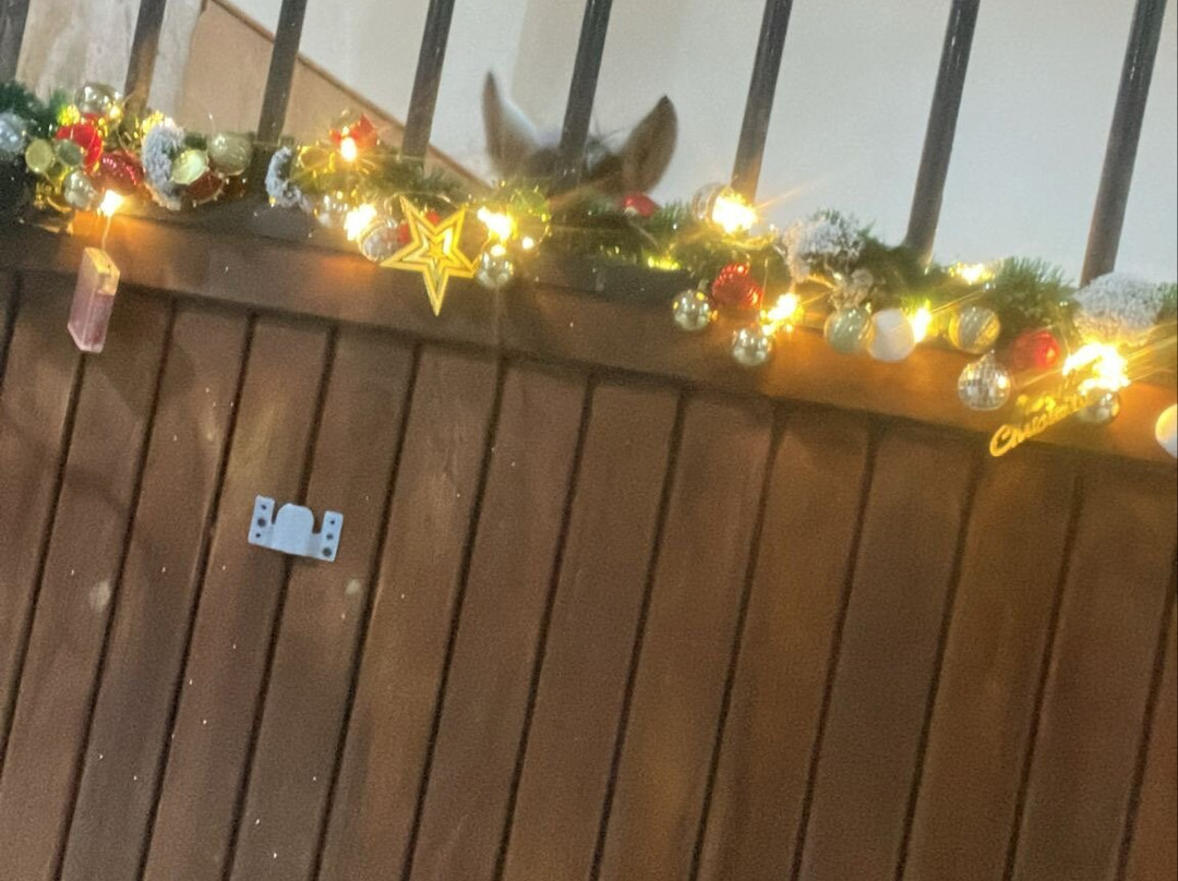 Çorum Anatolia Atlı Spor Kulübü