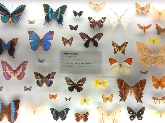 Stadtmuseum am Markt-威斯巴登必去景点