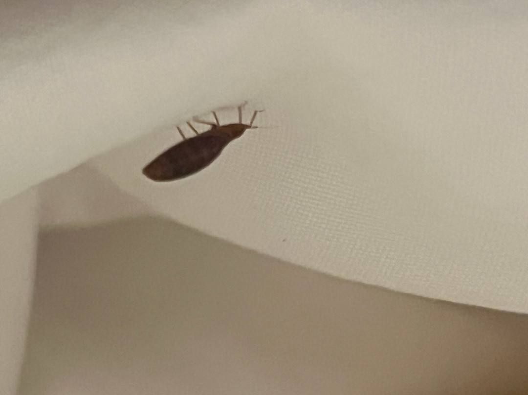 大学康福特茵酒店主图