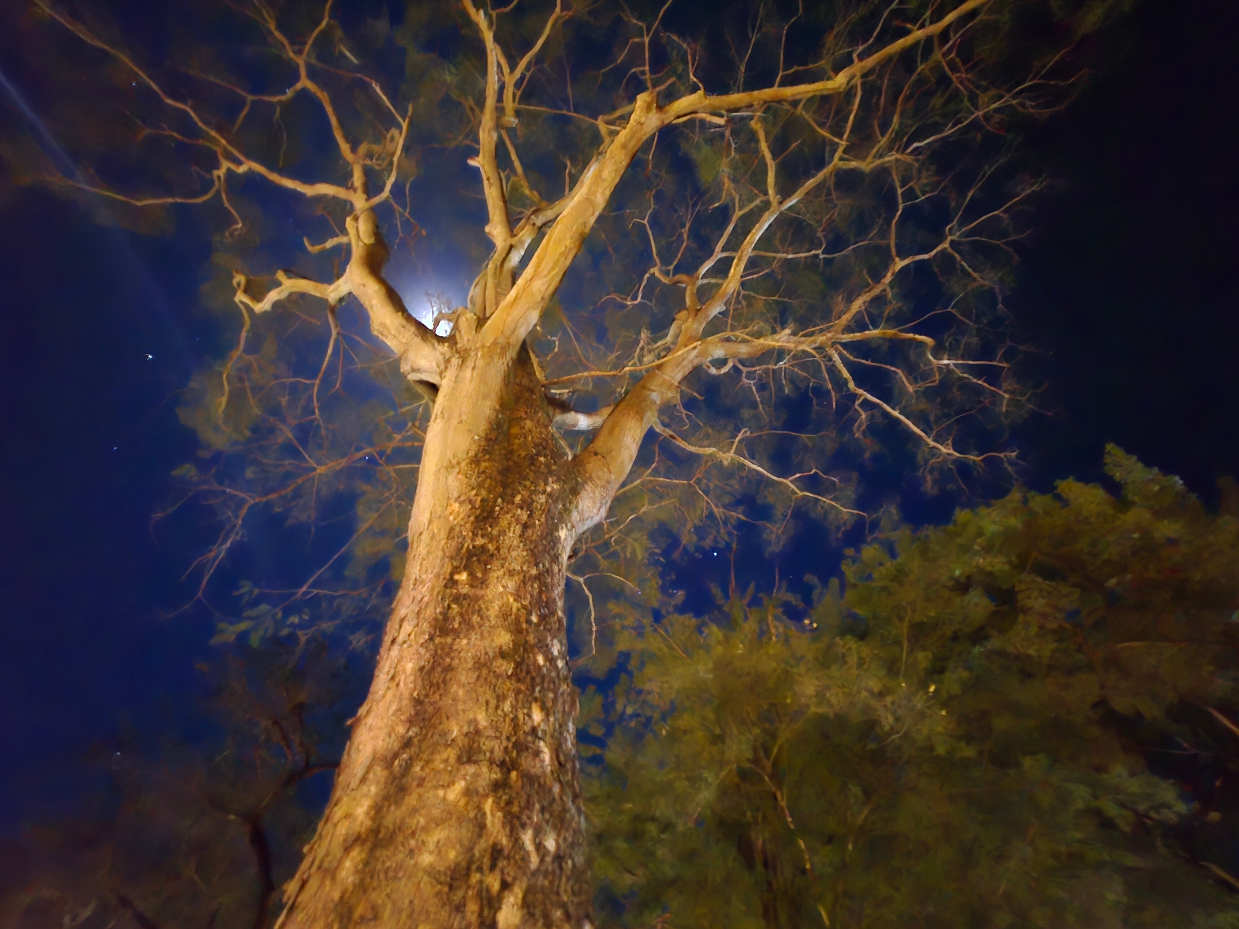 CC Beach Front Papagayo-官方