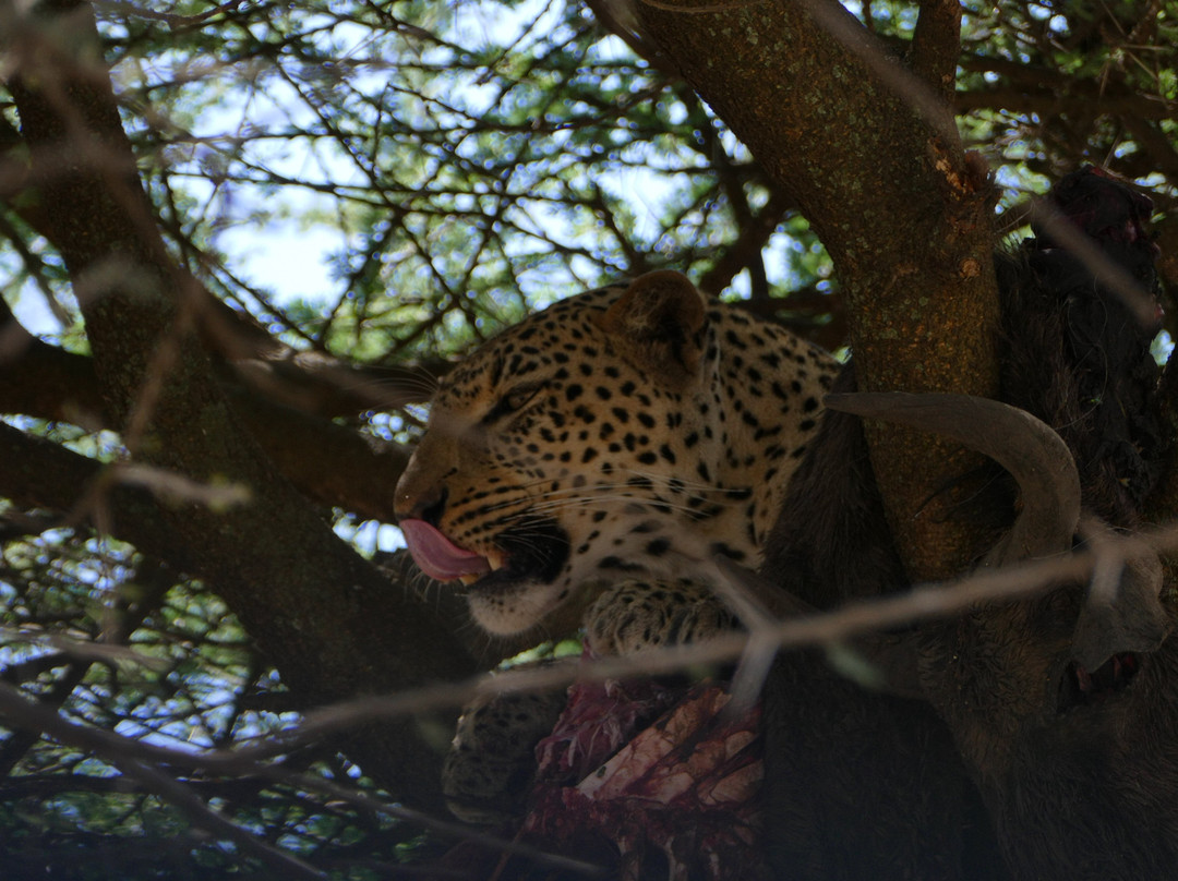 Great Escape Trails-莫西必去景点