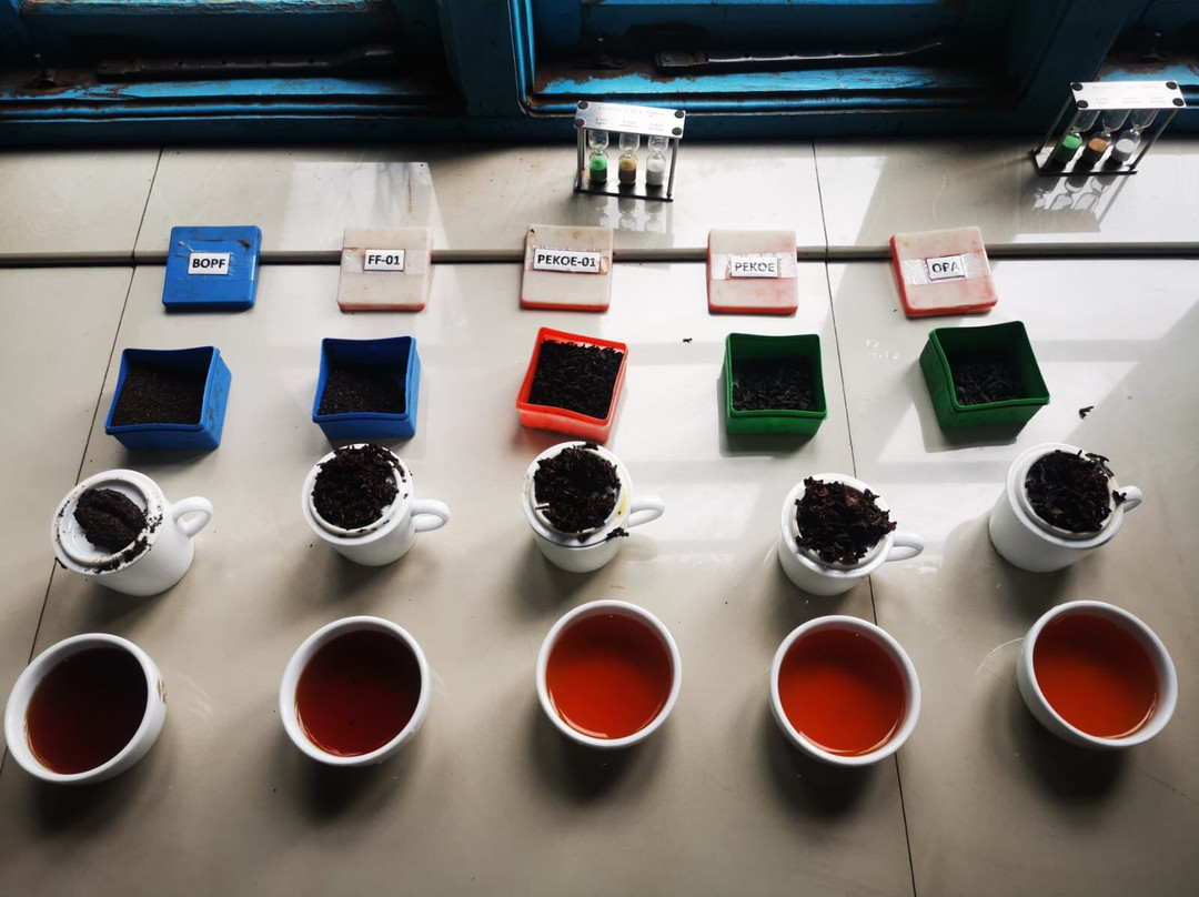 Knuckles Trail Blazers-Kandy District必去景点