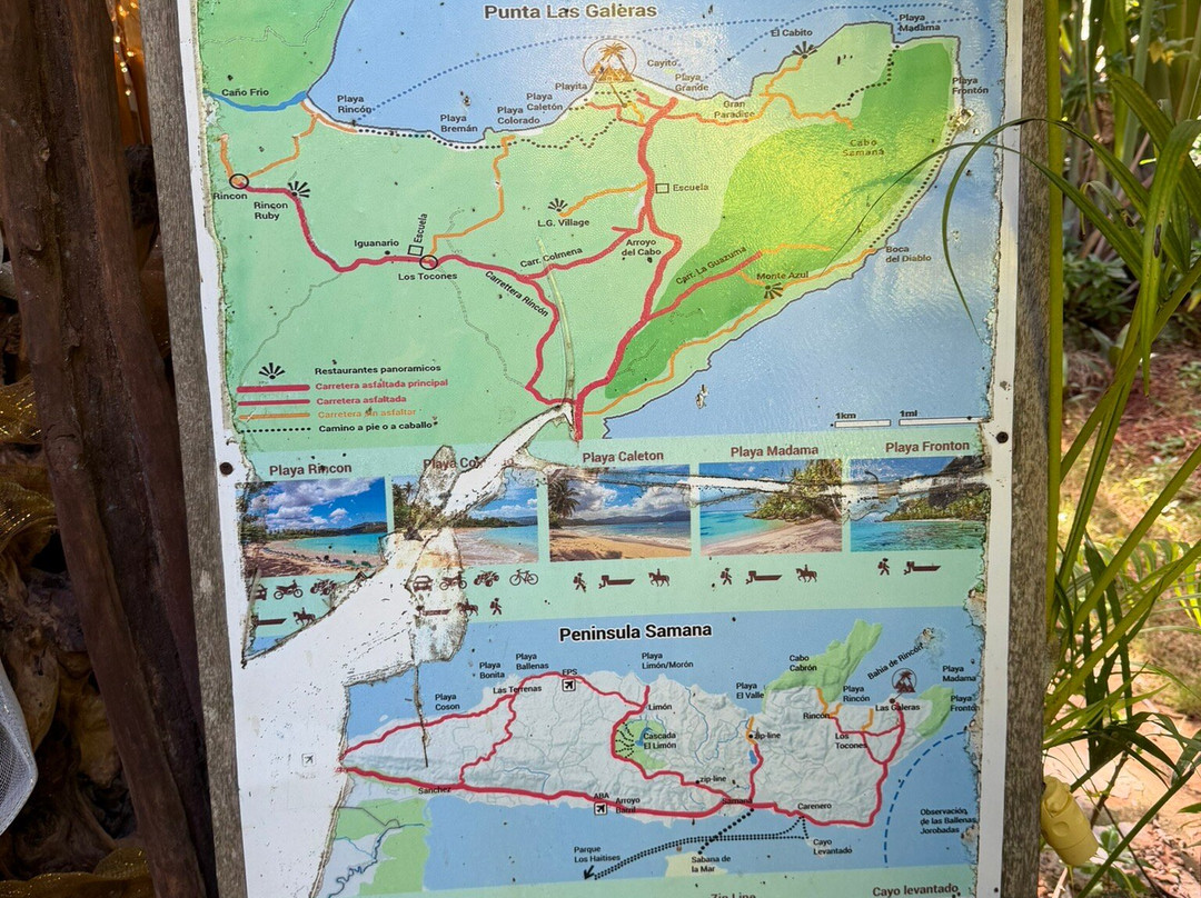 Chalet Tropical Hotel &  Bar Restaurant主图